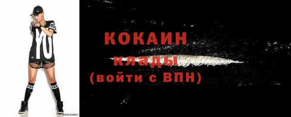хмурый Абаза